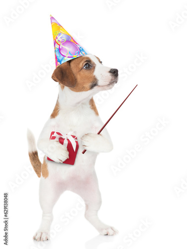 Funny Jack russell terrier puppy wearing party cap holds gift box and points away on empty space. isolated on white background © Ermolaev Alexandr