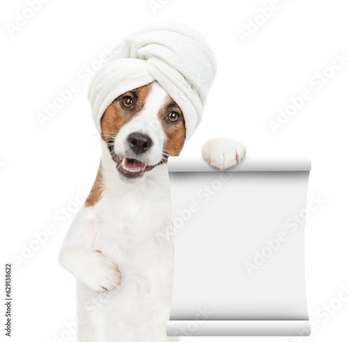 jack russell terrier puppy with towel on his head shows empty list. isolated on white background © Ermolaev Alexandr