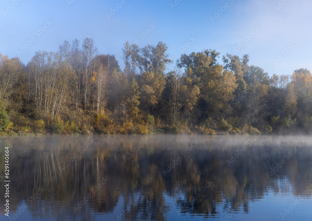 Trees and fog in the morning in autumn Trees and fog in the morning in autumn