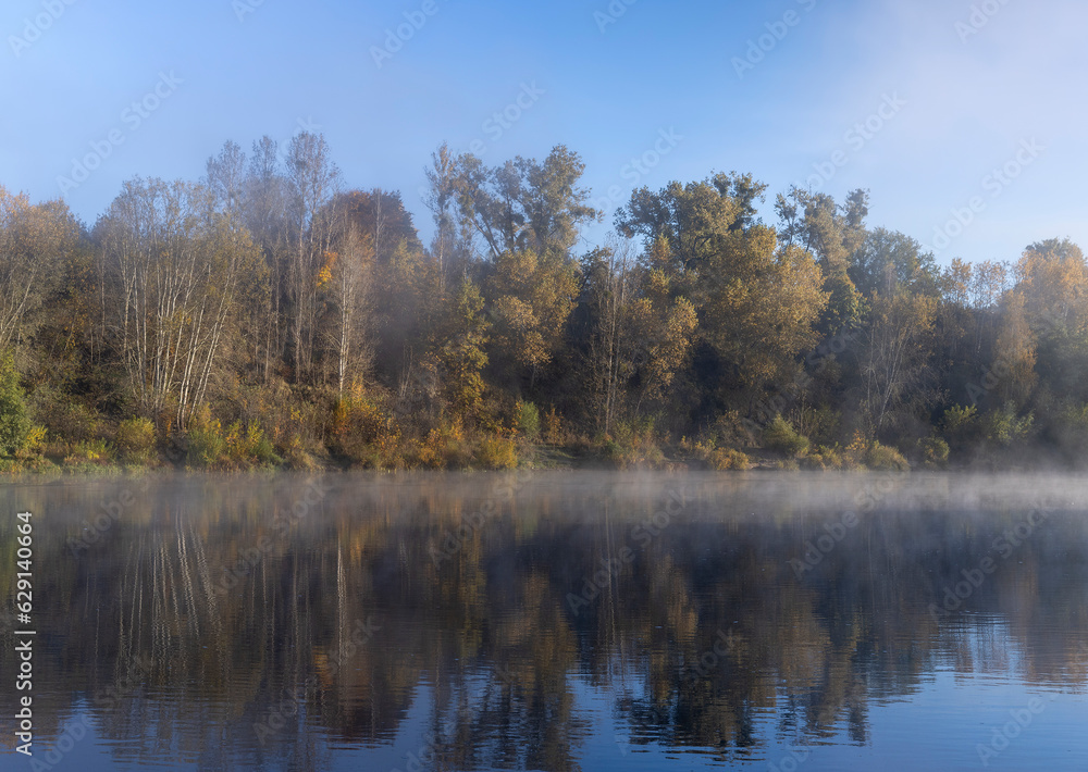 Trees and fog in the morning in autumn