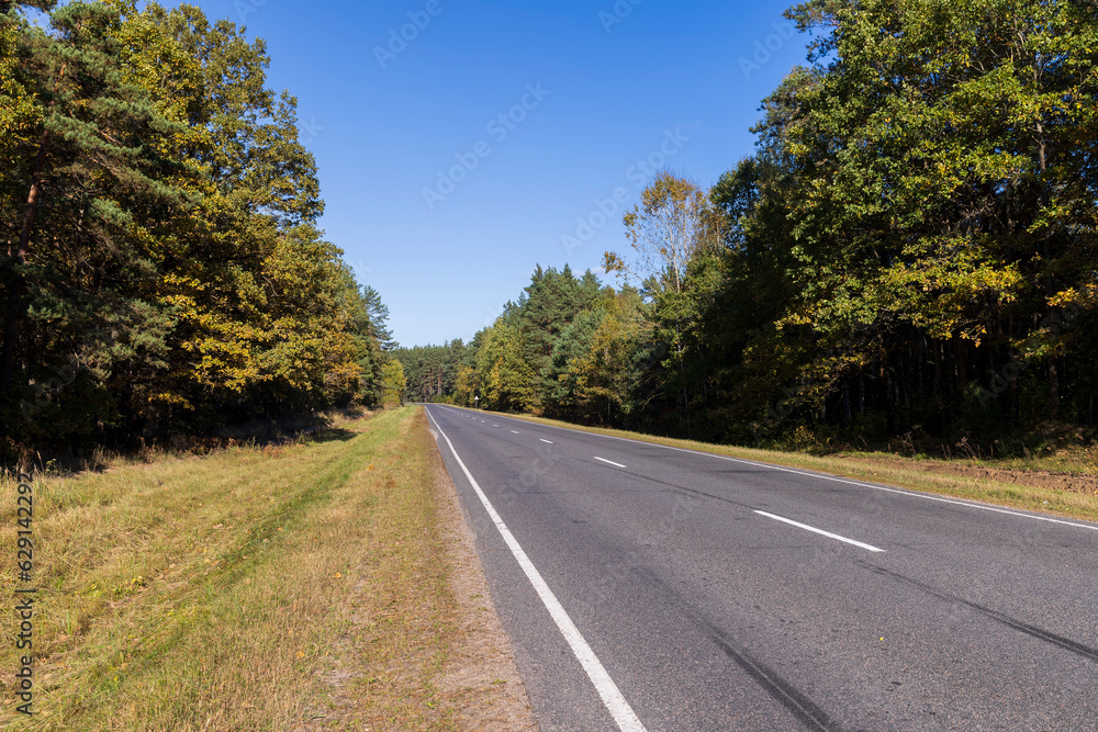 Fototapeta premium Paved road in the autumn season in sunny weather