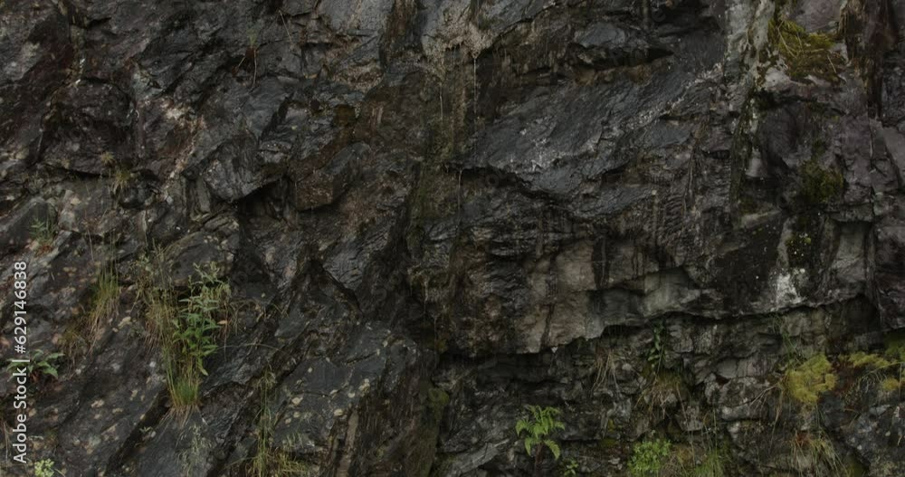 Mountains in Norway. Rocky cliff covered in bright green moss, lichens and small plants. Close-up. Mountains in Norway. Rocky cliff covered in bright green moss, lichens and small plants. Close-up.