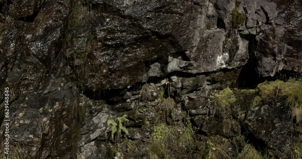 Mountains in Norway. Rocky cliff covered in bright green moss, lichens and small plants. Close-up. Mountains in Norway. Rocky cliff covered in bright green moss, lichens and small plants. Close-up.