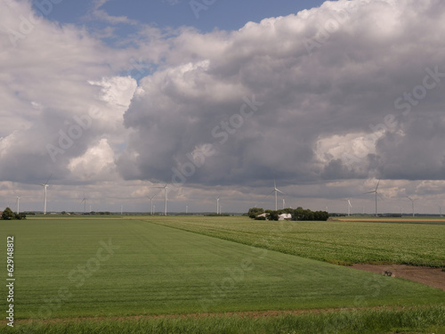 Windmills on farmland in Dutch polder landscape