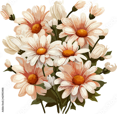 Beautiful Image of Fresh Daisies Flowers on Transparent Background, illustration