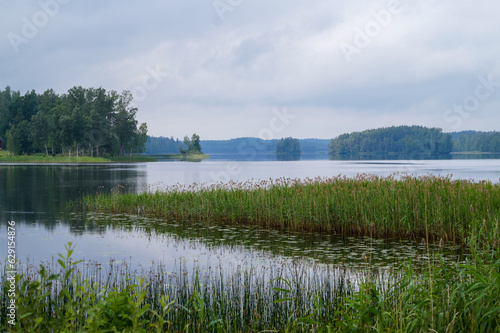 lake in the forest © niklas storm