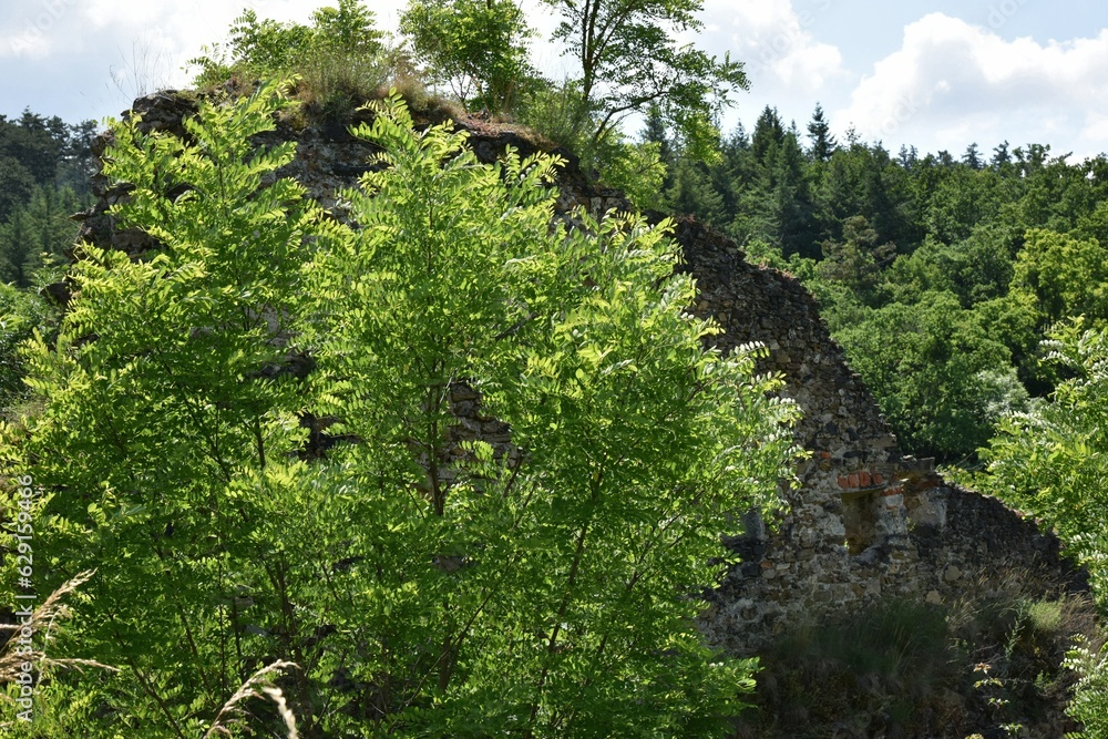 Fototapeta premium Burgruine Schönberg, Österreich, 15.06.2023