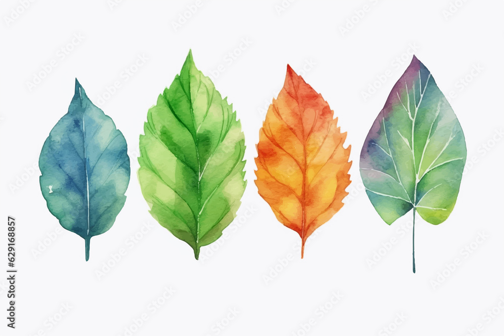 Watercolor Collection of Trendy Wedding Greenery Isolated on White Background. Modern Botanical Clipart: Eucalyptus, Italian Ruscus, Agonis, Privet Berry, Shepherd's Purse, Leather Leaf Fern. Watercolor Collection of Trendy Wedding Greenery Isolated on White Background. Modern Botanical Clipart: Eucalyptus, Italian Ruscus, Agonis, Privet Berry, Shepherd's Purse, Leather Leaf Fern.