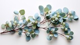 Tranquil Pastel Blue Eucalyptus Cutout Composition