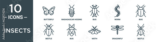 insects outline icon set includes thin line butterfly, madagascar hissing cockroach, bug, worm, bug, beetle, bug icons for report, presentation, diagram, web design