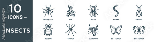 insects outline icon set includes thin line mosquito, fly, wasp, worm, firefly, bedbug, spider icons for report, presentation, diagram, web design