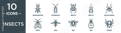 insects outline icon set includes thin line grasshopper, cockroach, beetle, beetle, black widow, moth, bug icons for report, presentation, diagram, web design