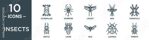 insects outline icon set includes thin line caterpillar, scorpion, locust, bug, tarantula, beetle, louse icons for report, presentation, diagram, web design