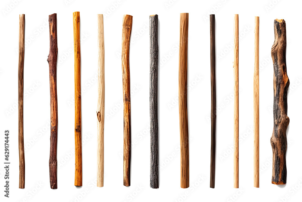 Different wood rod, stick types collection photorealistic isolated white and transparent
