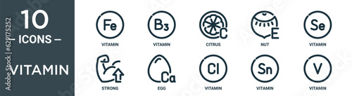 vitamin outline icon set includes thin line vitamin, vitamin, citrus, nut, strong, egg icons for report, presentation, diagram, web design