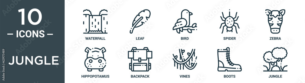 jungle outline icon set includes thin line waterfall, leaf, bird, spider, zebra, hippopotamus, backpack icons for report, presentation, diagram, web design jungle outline icon set includes thin line waterfall, leaf, bird, spider, zebra, hippopotamus, backpack icons for report, presentation, diagram, web design