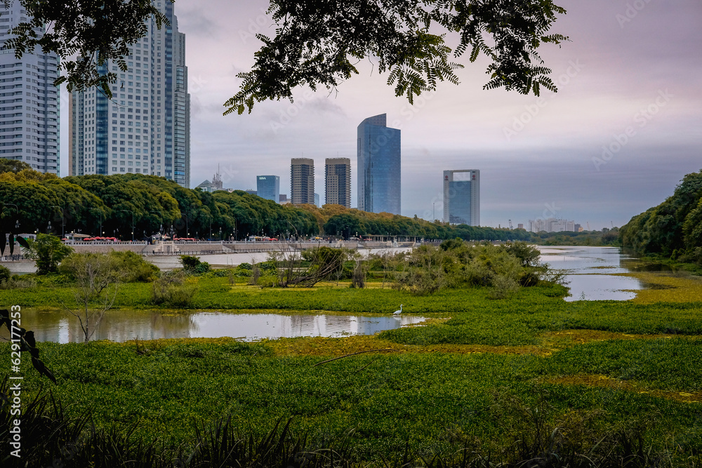 Obraz premium Ciudad y naturaleza