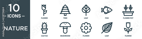 nature outline icon set includes thin line flower, tree, leaf, fish, flower pot, cactus, mushroom icons for report, presentation, diagram, web design