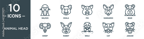 animal head outline icon set includes thin line walrus, koala, pig, kangaroo, bear, sheep, rabbit icons for report, presentation, diagram, web design
