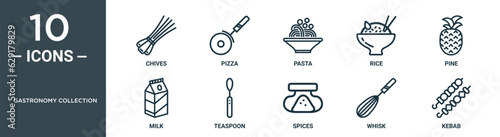gastronomy collection outline icon set includes thin line chives, pizza, pasta, rice, pine, milk, teaspoon icons for report, presentation, diagram, web design