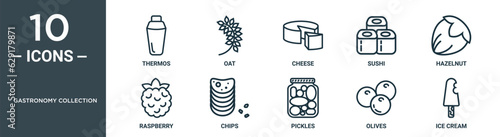 gastronomy collection outline icon set includes thin line thermos, oat, cheese, sushi, hazelnut, raspberry, chips icons for report, presentation, diagram, web design