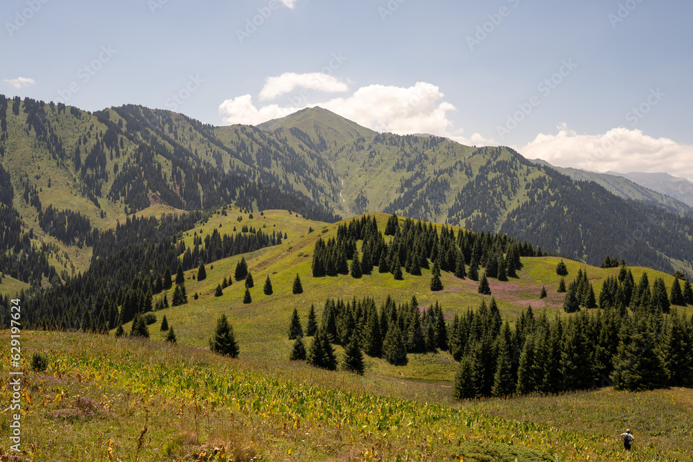 Fototapeta premium Mountain paths and views of the surroundings of the Almaty region, Kazakhstan. Pasture and plains, forests and open spaces