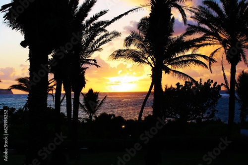 summer beach Tropical palm tree sunset resort beatiful exotic travel resort