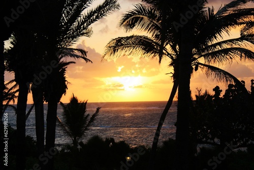 Tropical palm tree sunset resort beatiful exotic travel resort