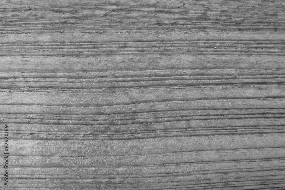 Grey wood texture horizontal lines background. Black and white horizontal line wooden textured. Grey wood texture horizontal lines background. Black and white horizontal line wooden textured.