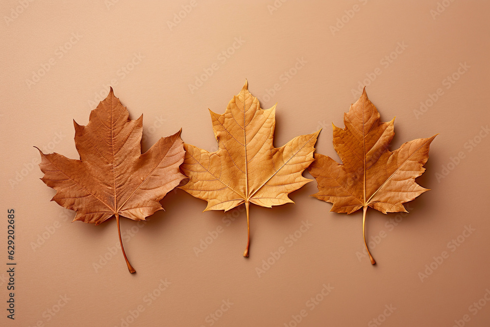 Flatlay of three dry autumn leaves on brown paper surface. Flatlay of three dry autumn leaves on brown paper surface.