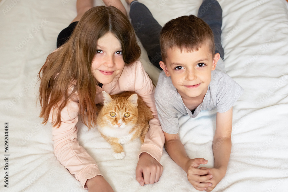 children play with the cat on the bed. a girl and a boy pose with a ginger cat for a photo. friendship between animals and humans children play with the cat on the bed. a girl and a boy pose with a ginger cat for a photo. friendship between animals and humans