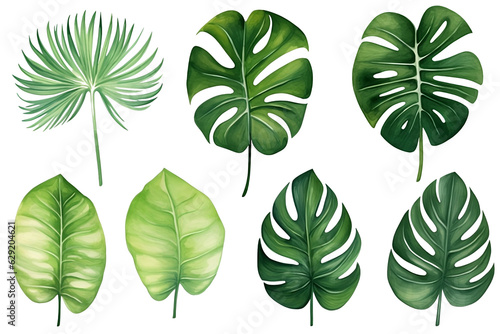 Set of tropical vector leaves. Variety. Ornamental plants. White background  Generative AI