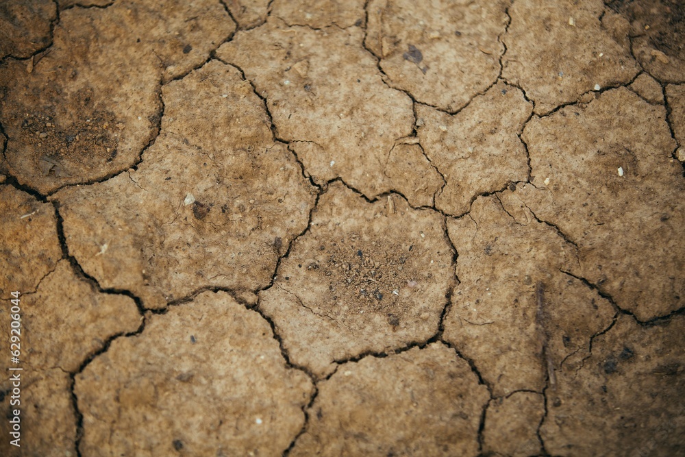 Fototapeta premium textura de grietas en el barro