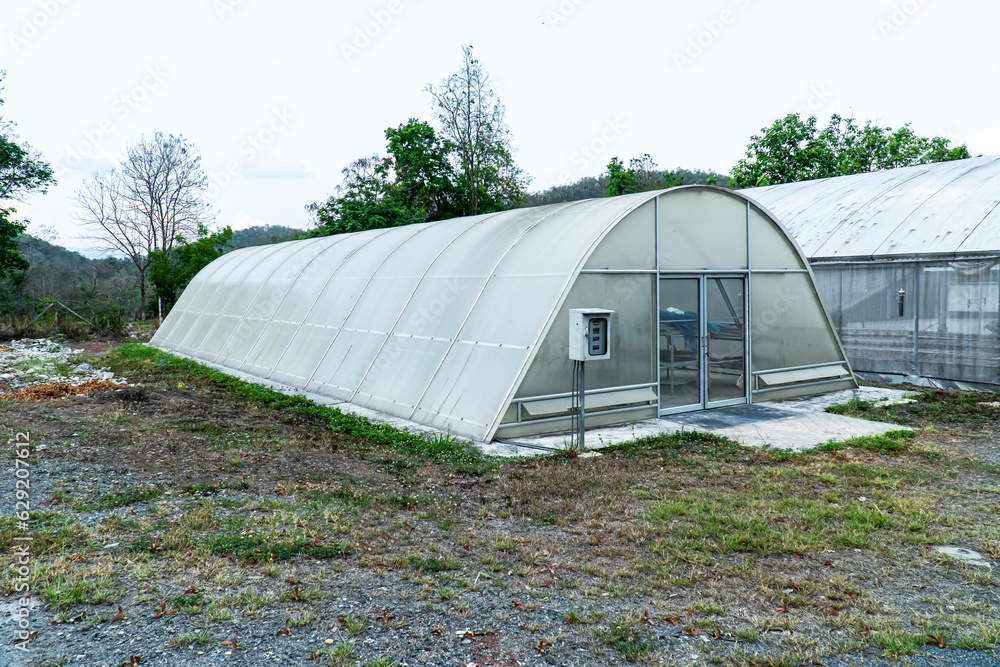White polycarbonate roof greenhouse in the garden. Curved white acrylic nursery in the garden background. White polycarbonate roof greenhouse in the garden. Curved white acrylic nursery in the garden background.