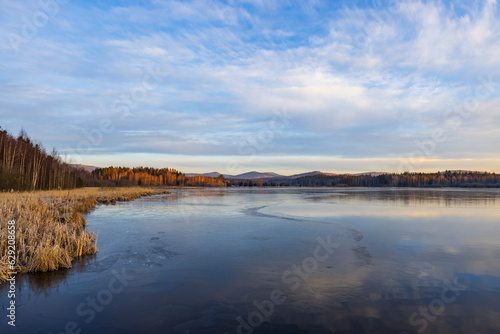 nature reserve Olsina  Sumava National Park  Czech Republic