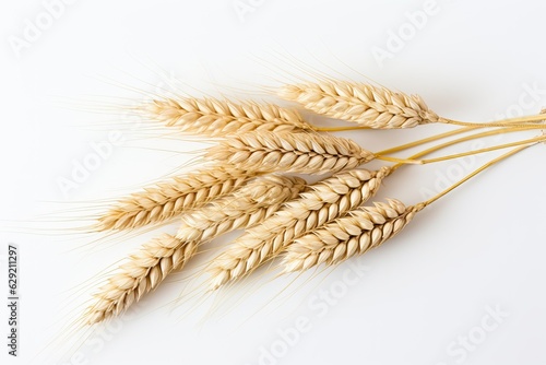 Isolated wheat ears on a white background, showcasing whole grains for illustrative purposes. Generative AI