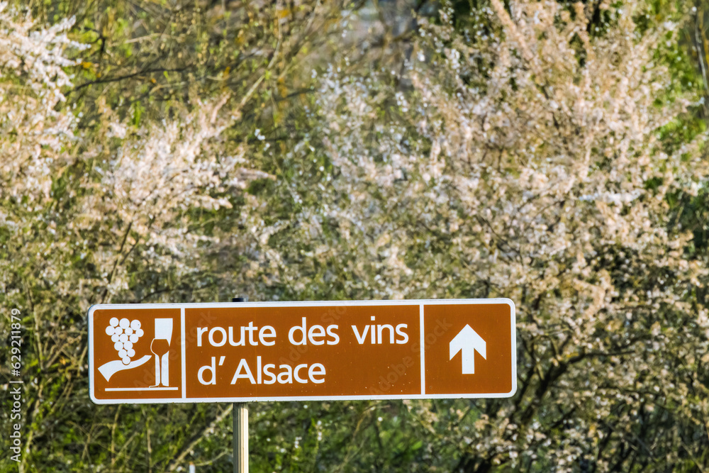 Wine road near Colmar, Alsace, France