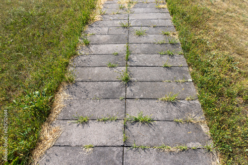 part of the road is destroyed by grass and other plants