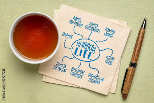 Bilde på lerret meaningful life concept - infographics or mind map sketch on a napkin with tea,