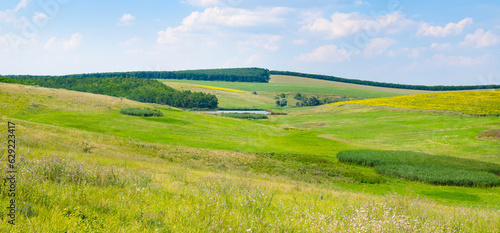 Green meadow on a hilly landscape. Wide photo.