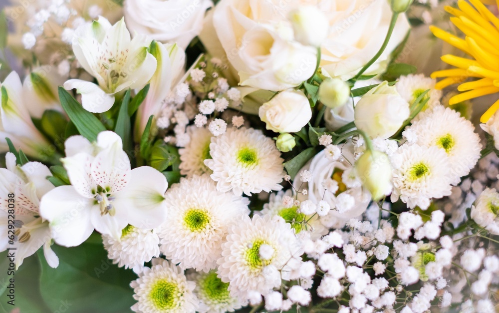flower closeup, bunch of flowers flower closeup, bunch of flowers