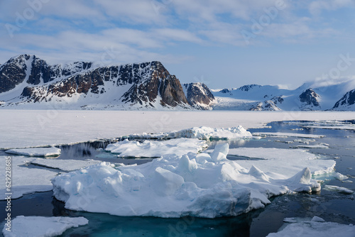 Arctic Landscape in Svalbard