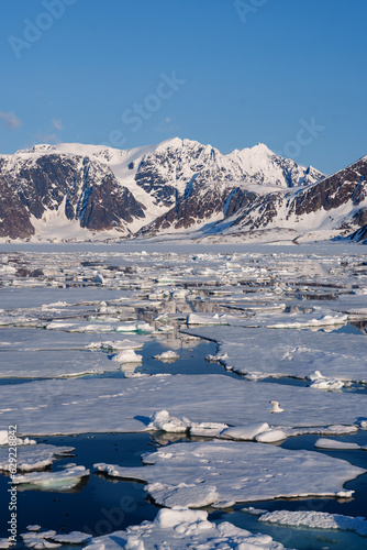 Arctic landscape in Svalbard