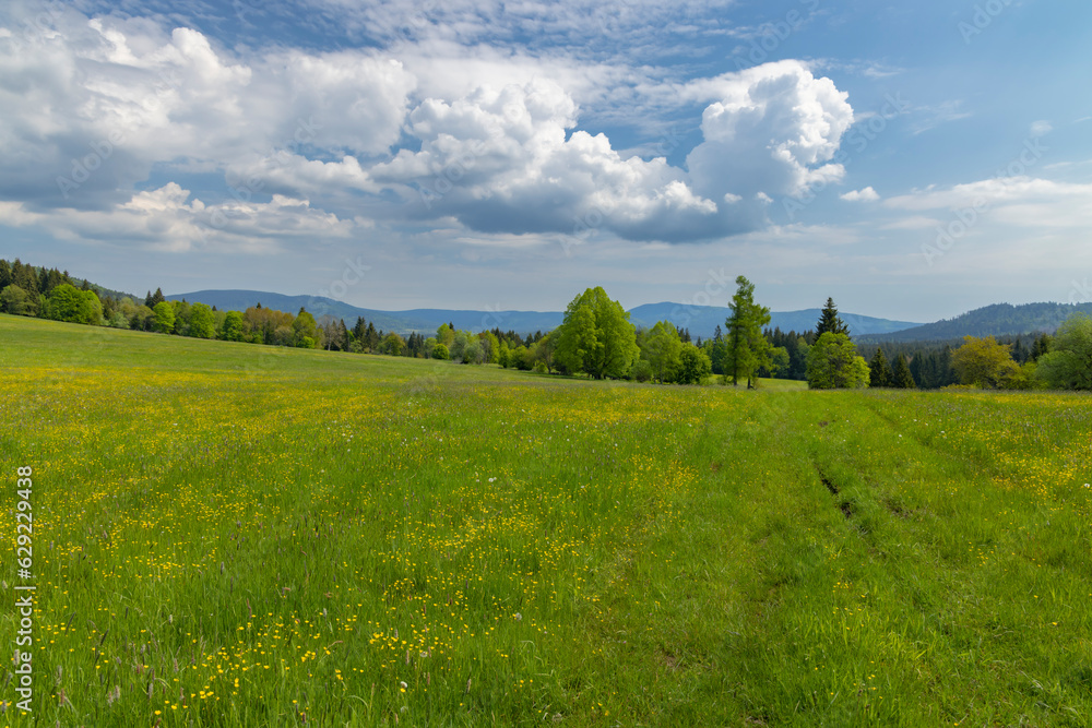 Typicallandscape near Modrava, Nation park Sumava, Czech Republic