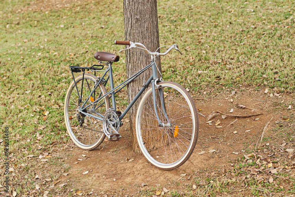 Vintage bicycle leaning on tree in park