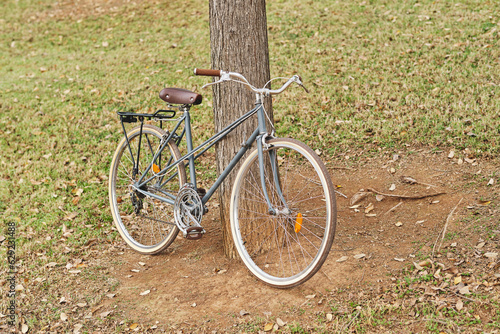 Vintage bicycle leaning on tree in park