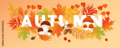Hello autumn. Autumn leaves with mushrooms  cep  physalis. Sale banners  postcard  poster.