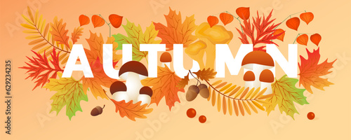 Hello autumn. Autumn leaves with mushrooms, cep, physalis. Sale banners, postcard, poster.