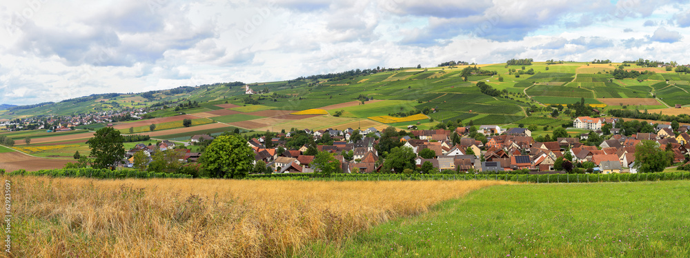 Panorama of vineyard fields with Church St. Moritz, Klettgau, Schaffhausen, Switezrland. Klettgau is a well-known wine production area.