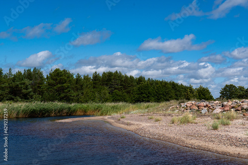 River and sandy strand with forest and blue sky with clouds.
